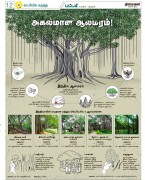 infographics
