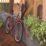 Arnold-Render-Of-Bicycle-in-3D-Autodesk-MAYA