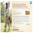 CARD-PROMOTION-ON-RAKHI