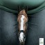 Fortis-Hospitals-Obesity-Management-Print-Campaign