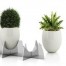 Interiors Design