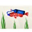Motion Graphic