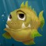 NAT-GEO-Kidzee-School-MAG