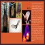 Nature-and-Form_-Bio-mimicry