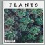 PLANTS-Magazine-Portfolio
