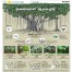 infographics