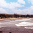The Beach