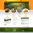 UX-UI Web Design